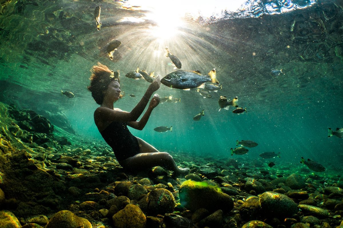 Julie feeding fishes underwater